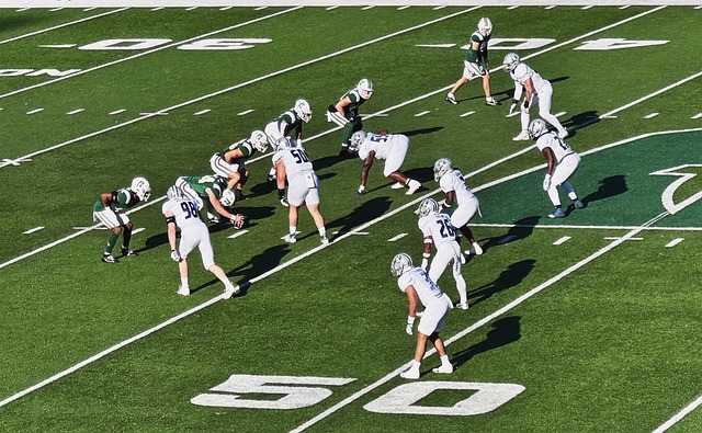 翔的艺术 翔的艺术