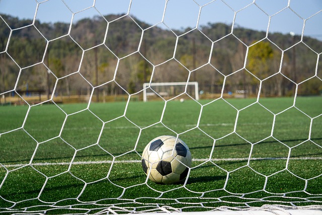 肯定来看 肯定来看