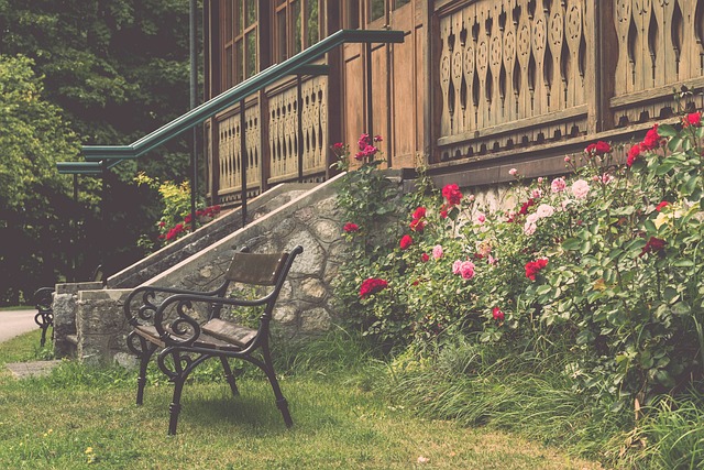 中国运动员 中国运动员