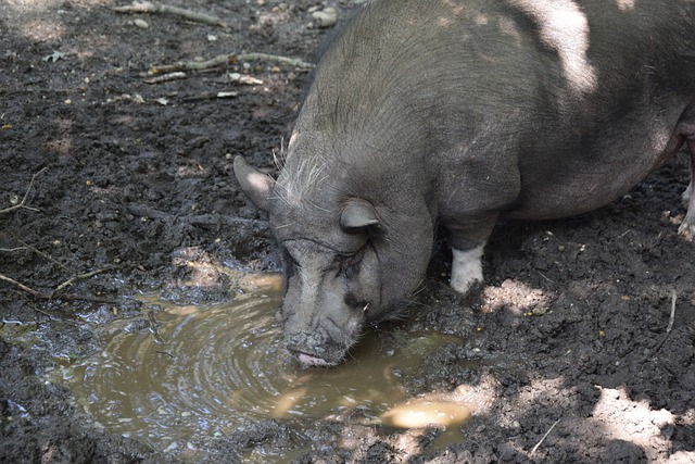 赛事积累动 赛事积累动