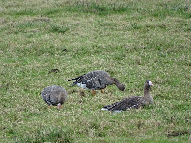 未來規劃 未來規劃