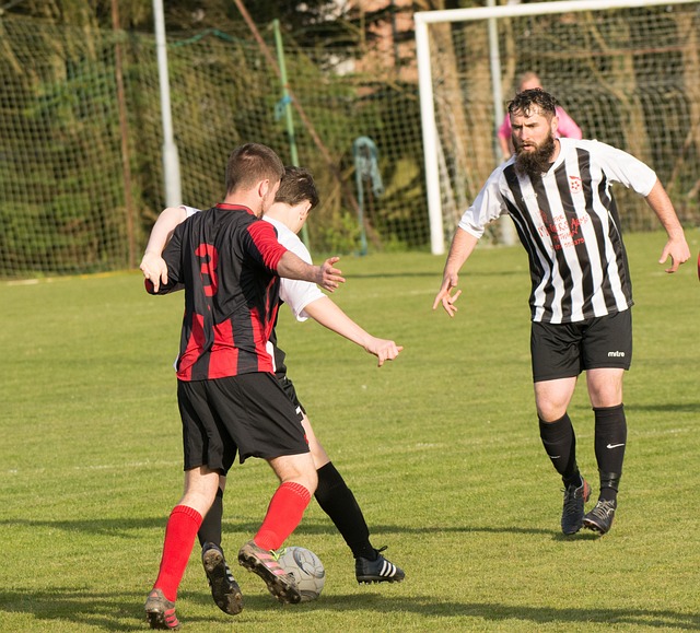 球队的迅速 球队的迅速