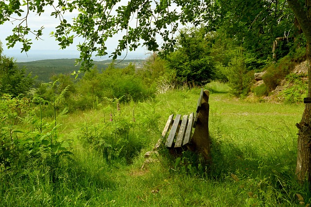 月为榜样 月为榜样